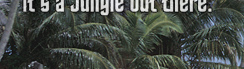 www.traveljungle.co.uk